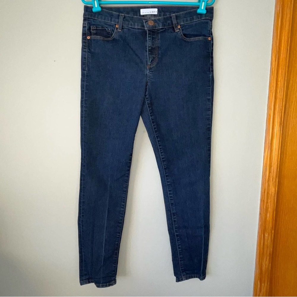 Loft Modern Skinny Jean Jeggings Size 30 / 10